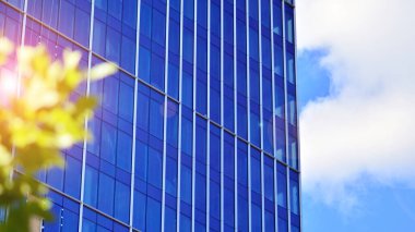 Çevre mimarisi. Yeşil ağaç ve cam ofis binası. Doğanın ve modernliğin ahengi. Modern ticari binanın yansıması güneş ışığıyla cam üzerine.. 