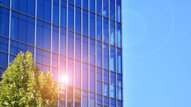 Çevre mimarisi. Yeşil ağaç ve cam ofis binası. Doğanın ve modernliğin ahengi. Modern ticari binanın yansıması güneş ışığıyla cam üzerine.. 