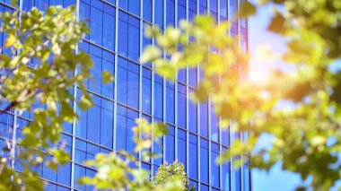 Çevre mimarisi. Yeşil ağaç ve cam ofis binası. Doğanın ve modernliğin ahengi. Modern ticari binanın yansıması güneş ışığıyla cam üzerine.. 