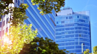 Çevre mimarisi. Yeşil ağaç ve cam ofis binası. Doğanın ve modernliğin ahengi. Modern ticari binanın yansıması güneş ışığıyla cam üzerine.. 