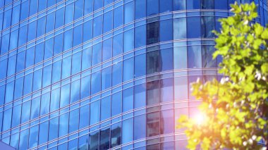 Çevre mimarisi. Yeşil ağaç ve cam ofis binası. Doğanın ve modernliğin ahengi. Modern ticari binanın yansıması güneş ışığıyla cam üzerine.. 