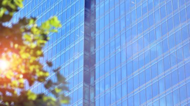 Çevre mimarisi. Yeşil ağaç ve cam ofis binası. Doğanın ve modernliğin ahengi. Modern ticari binanın yansıması güneş ışığıyla cam üzerine.. 