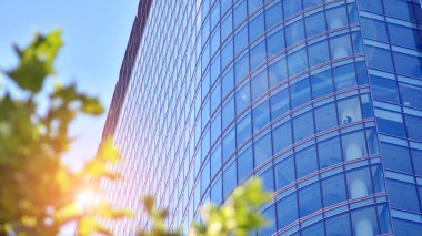 Çevre mimarisi. Yeşil ağaç ve cam ofis binası. Doğanın ve modernliğin ahengi. Modern ticari binanın yansıması güneş ışığıyla cam üzerine.. 