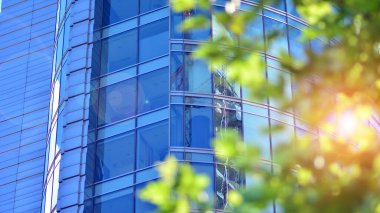 Çevre mimarisi. Yeşil ağaç ve cam ofis binası. Doğanın ve modernliğin ahengi. Modern ticari binanın yansıması güneş ışığıyla cam üzerine.. 
