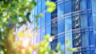 Çevre mimarisi. Yeşil ağaç ve cam ofis binası. Doğanın ve modernliğin ahengi. Modern ticari binanın yansıması güneş ışığıyla cam üzerine.. 