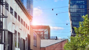 Çevre mimarisi. Yeşil ağaç ve cam ofis binası. Doğanın ve modernliğin ahengi. Modern ticari binanın yansıması güneş ışığıyla cam üzerine.. 