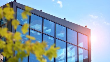 Çevre mimarisi. Yeşil ağaç ve cam ofis binası. Doğanın ve modernliğin ahengi. Modern ticari binanın yansıması güneş ışığıyla cam üzerine.. 