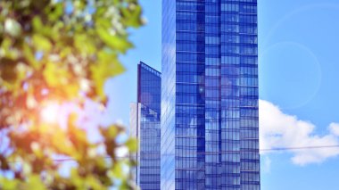 Çevre mimarisi. Yeşil ağaç ve cam ofis binası. Doğanın ve modernliğin ahengi. Modern ticari binanın yansıması güneş ışığıyla cam üzerine.. 