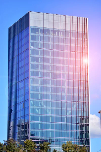 Çevre mimarisi. Yeşil ağaç ve cam ofis binası. Doğanın ve modernliğin ahengi. Modern ticari binanın yansıması güneş ışığıyla cam üzerine.. 