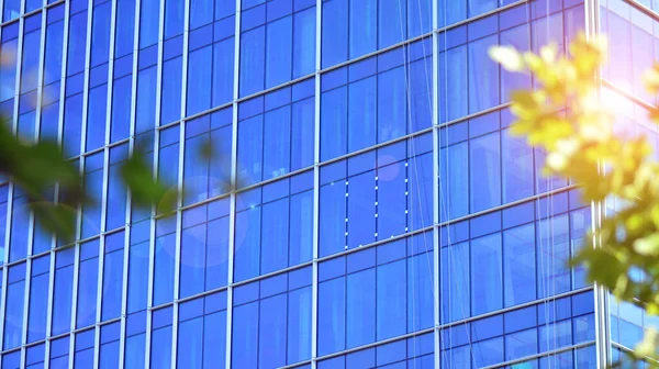 Çevre mimarisi. Yeşil ağaç ve cam ofis binası. Doğanın ve modernliğin ahengi. Modern ticari binanın yansıması güneş ışığıyla cam üzerine.. 