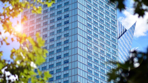 Ekologisk Arkitektur Grönt Träd Och Glas Kontorsbyggnad Harmoni Mellan Natur — Stockfoto