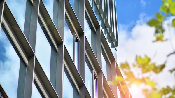 Arquitectura Ecológica Árbol Verde Edificio Oficinas Vidrio Armonía Naturaleza Modernidad — Foto de Stock