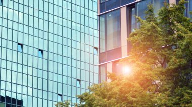 Ağaçlı yeşil eko ofis pencereleri. Ekoloji ve yeşil yaşam şehirde, kentsel çevre kavramı. Modern ofis binası ve yeşil ağaçlar.