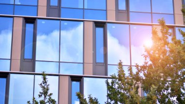 Ağaçlı yeşil eko ofis pencereleri. Ekoloji ve yeşil yaşam şehirde, kentsel çevre kavramı. Modern ofis binası ve yeşil ağaçlar.