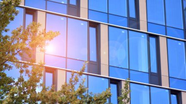 Ağaçlı yeşil eko ofis pencereleri. Ekoloji ve yeşil yaşam şehirde, kentsel çevre kavramı. Modern ofis binası ve yeşil ağaçlar.