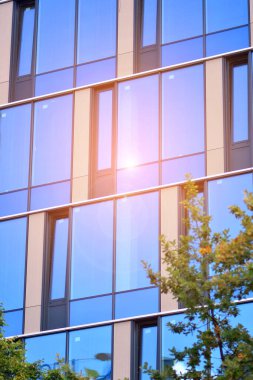 Ağaçlı yeşil eko ofis pencereleri. Ekoloji ve yeşil yaşam şehirde, kentsel çevre kavramı. Modern ofis binası ve yeşil ağaçlar.