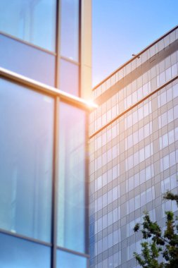 Ağaçlı yeşil eko ofis pencereleri. Ekoloji ve yeşil yaşam şehirde, kentsel çevre kavramı. Modern ofis binası ve yeşil ağaçlar.