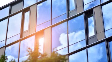 Ağaçlı yeşil eko ofis pencereleri. Ekoloji ve yeşil yaşam şehirde, kentsel çevre kavramı. Modern ofis binası ve yeşil ağaçlar.