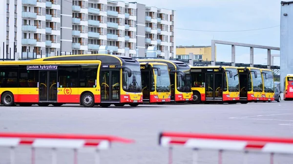 Varsó Lengyelország 2021 Szeptember Városi Buszok Parkolása Buszmegállóban — Stock Fotó