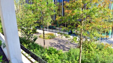 Modern luxury office building.The structure features a glass and concrete walls, showcasing contemporary architecture. The green surroundings of office buildings. Trees and shrubs in the city.
