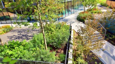 Modern luxury office building.The structure features a glass and concrete walls, showcasing contemporary architecture. The green surroundings of office buildings. Trees and shrubs in the city.