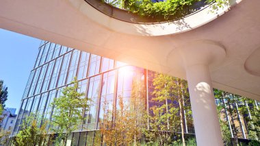 Modern luxury office building.The structure features a glass and concrete walls, showcasing contemporary architecture. The green surroundings of office buildings. Trees and shrubs in the city.