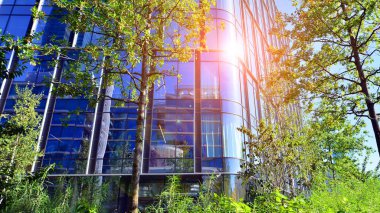 Modern luxury office building.The structure features a glass and concrete walls, showcasing contemporary architecture. The green surroundings of office buildings. Trees and shrubs in the city.