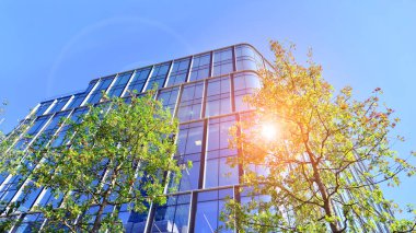 Modern luxury office building.The structure features a glass and concrete walls, showcasing contemporary architecture. The green surroundings of office buildings. Trees and shrubs in the city.
