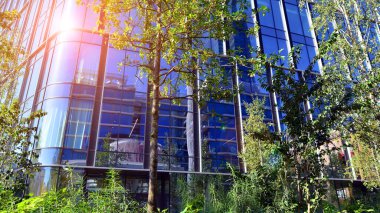 Modern luxury office building.The structure features a glass and concrete walls, showcasing contemporary architecture. The green surroundings of office buildings. Trees and shrubs in the city.