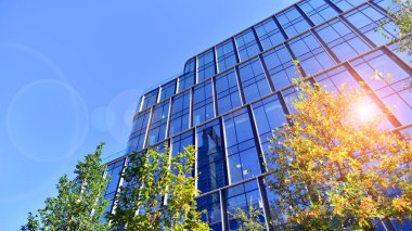 Modern luxury office building.The structure features a glass and concrete walls, showcasing contemporary architecture. The green surroundings of office buildings. Trees and shrubs in the city.