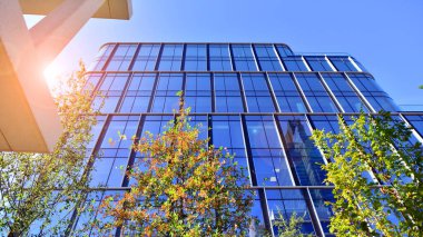 Modern luxury office building.The structure features a glass and concrete walls, showcasing contemporary architecture. The green surroundings of office buildings. Trees and shrubs in the city.
