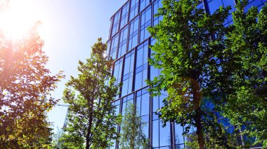 Modern luxury office building.The structure features a glass and concrete walls, showcasing contemporary architecture. The green surroundings of office buildings. Trees and shrubs in the city.