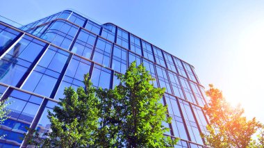Modern luxury office building.The structure features a glass and concrete walls, showcasing contemporary architecture. The green surroundings of office buildings. Trees and shrubs in the city.