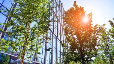 Modern luxury office building.The structure features a glass and concrete walls, showcasing contemporary architecture. The green surroundings of office buildings. Trees and shrubs in the city.