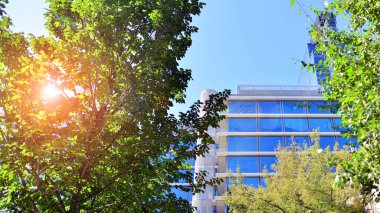 Modern luxury office building.The structure features a glass and concrete walls, showcasing contemporary architecture. The green surroundings of office buildings. Trees and shrubs in the city.