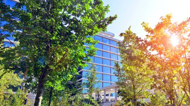 Modern luxury office building.The structure features a glass and concrete walls, showcasing contemporary architecture. The green surroundings of office buildings. Trees and shrubs in the city.