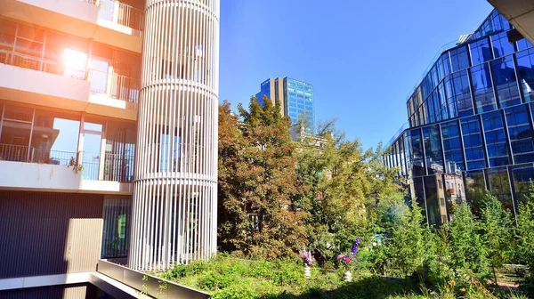 Modern luxury office building.The structure features a glass and concrete walls, showcasing contemporary architecture. The green surroundings of office buildings. Trees and shrubs in the city.