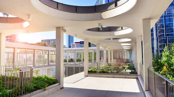 Modern luxury office building.The structure features a glass and concrete walls, showcasing contemporary architecture. The green surroundings of office buildings. Trees and shrubs in the city.