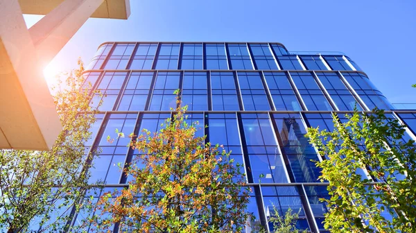 Modern luxury office building.The structure features a glass and concrete walls, showcasing contemporary architecture. The green surroundings of office buildings. Trees and shrubs in the city.