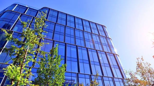 Modern luxury office building.The structure features a glass and concrete walls, showcasing contemporary architecture. The green surroundings of office buildings. Trees and shrubs in the city.