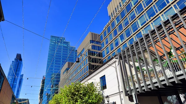 Modern luxury office building.The structure features a glass and concrete walls, showcasing contemporary architecture. The green surroundings of office buildings. Trees and shrubs in the city.