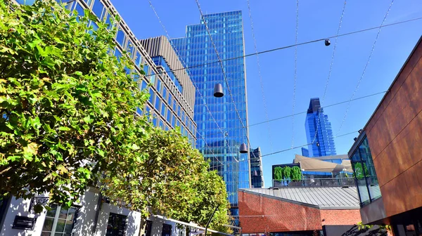 Modern luxury office building.The structure features a glass and concrete walls, showcasing contemporary architecture. The green surroundings of office buildings. Trees and shrubs in the city.