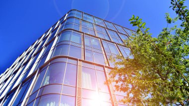 Modern luxury office building.The structure features a glass and concrete walls, showcasing contemporary architecture. The green surroundings of office buildings. Trees and shrubs in the city.