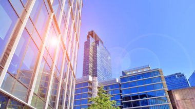 Modern luxury office building.The structure features a glass and concrete walls, showcasing contemporary architecture. The green surroundings of office buildings. Trees and shrubs in the city.