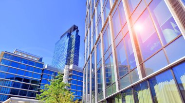 Modern luxury office building.The structure features a glass and concrete walls, showcasing contemporary architecture. The green surroundings of office buildings. Trees and shrubs in the city.