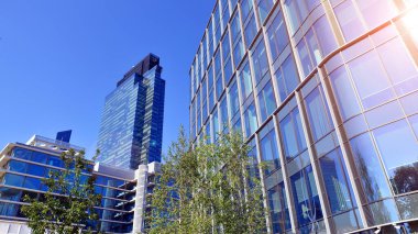 Modern luxury office building.The structure features a glass and concrete walls, showcasing contemporary architecture. The green surroundings of office buildings. Trees and shrubs in the city.