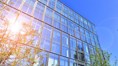 Modern luxury office building.The structure features a glass and concrete walls, showcasing contemporary architecture. The green surroundings of office buildings. Trees and shrubs in the city.