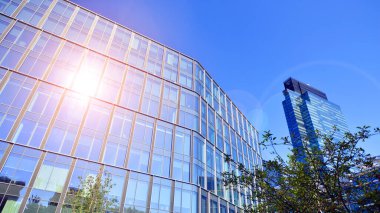 Modern luxury office building.The structure features a glass and concrete walls, showcasing contemporary architecture. The green surroundings of office buildings. Trees and shrubs in the city.
