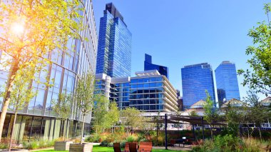 Modern luxury office building.The structure features a glass and concrete walls, showcasing contemporary architecture. The green surroundings of office buildings. Trees and shrubs in the city.