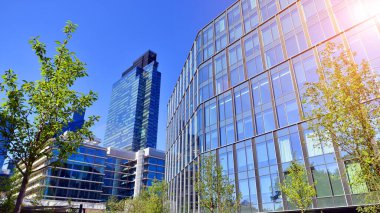 Modern luxury office building.The structure features a glass and concrete walls, showcasing contemporary architecture. The green surroundings of office buildings. Trees and shrubs in the city.